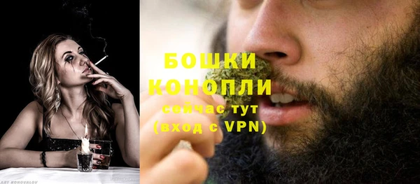 твердый Верея